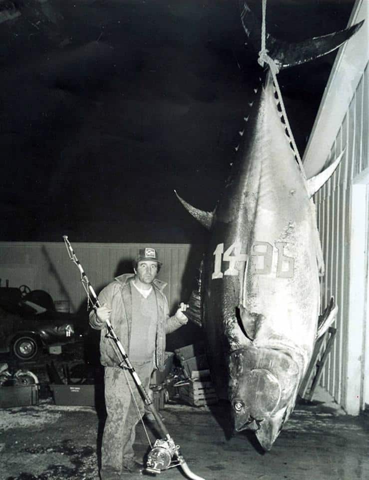 The 2nd Largest Fish Ever Caught On Rod And Reel 1496 Pound Bluefin