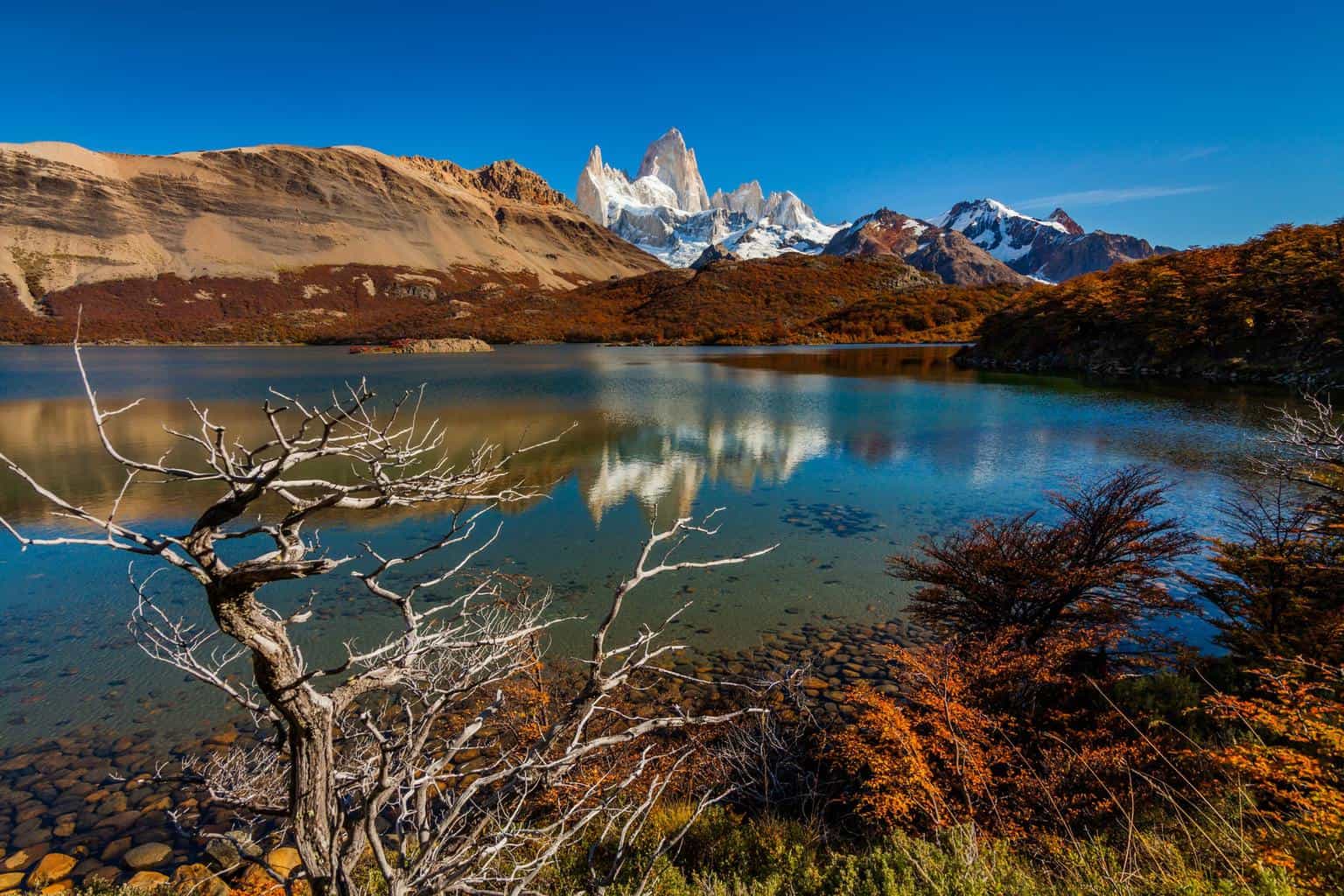 Autumn in Patagonia. Fitz Roy, Argentina